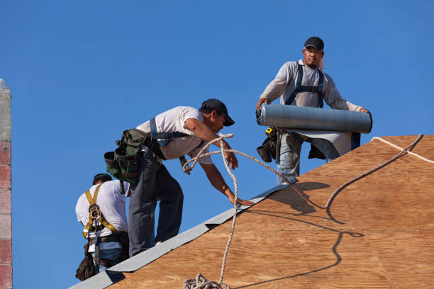 Best Roof Restoration Services  in Lawton, MI