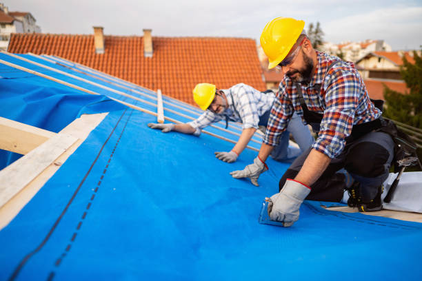 Best Roof Gutter Cleaning  in Lawton, MI