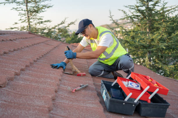 Best Roof Maintenance Services  in Lawton, MI