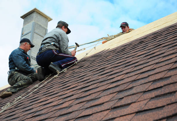 Best Best Roofing Contractors  in Lawton, MI